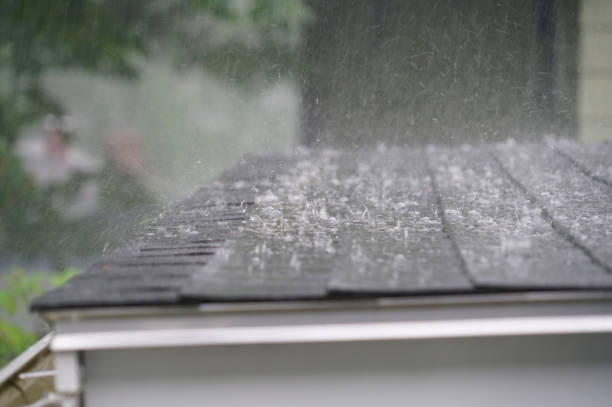 Trusted Los Fresnos, TX Roofing Experts